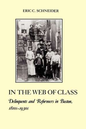 In the Web of Class – Delinquents and Reformers in Boston, 1810s–1930s de Eric C. Schneider