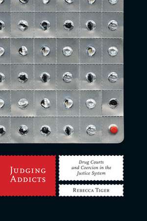 Judging Addicts de Rebecca Tiger
