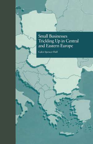 Small Businesses Trickling Up in Central and Eastern Europe de Galen Spencer Hull