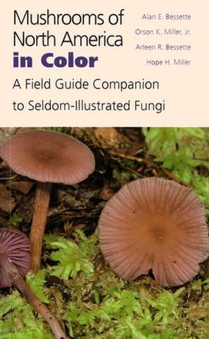 Mushrooms of North America in Color: A Field Guide Companion to Seldom-Illustrated Fungi de Alan E. Bessette