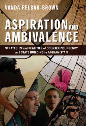 Aspiration and Ambivalence: Strategies and Realities of Counterinsurgency and State-Building in Afghanistan de Vanda Felbab-Brown