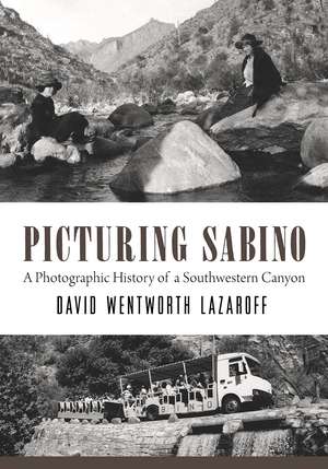 Picturing Sabino: A Photographic History of a Southwestern Canyon de David Wentworth Lazaroff