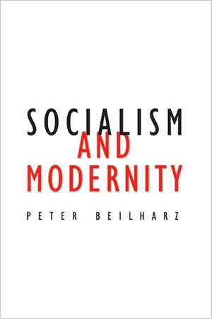 Socialism and Modernity de Peter Beilharz