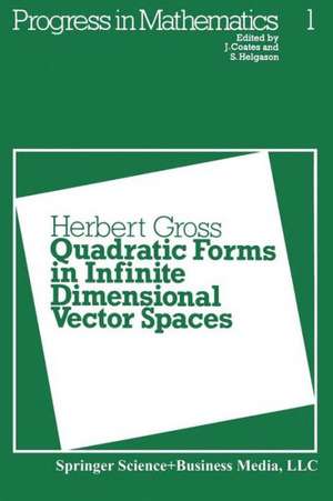 Quadratic Forms in Infinite Dimensional Vector Spaces de H. Gross