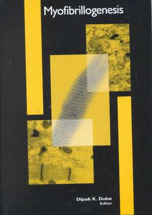 Myofibrillogenesis de Dipak K. Dube