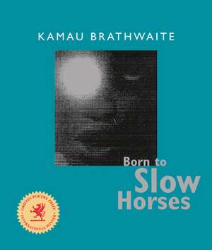 Born to Slow Horses de Kamau Brathwaite