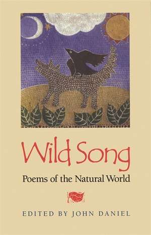 Wild Song de John Daniel