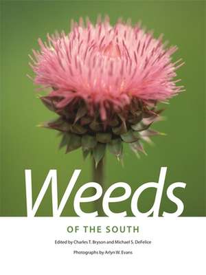 Weeds of the South de Charles T. Bryson