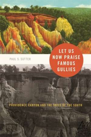 Let Us Now Praise Famous Gullies: Providence Canyon and the Soils of the South de Paul S. Sutter