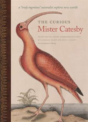 The Curious Mister Catesby: A "Truly Ingenious" Naturalist Explores New Worlds de Jane O. Waring