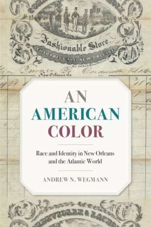 American Color de Andrew N. Wegmann