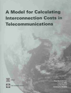 Modele de Determination Des Tarifs D'Interconnexion: Guide D'Utilisation Pour Les Regulateurs de Telecommunication de Paul Noumba Um