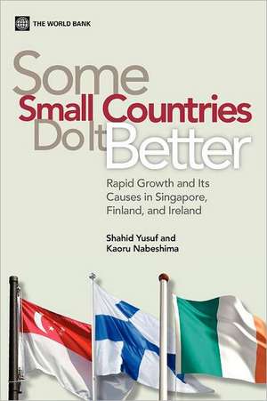 Some Small Countries Do It Better: Rapid Growth and Its Causes in Singapore, Finland, and Ireland de Shahid Yusuf