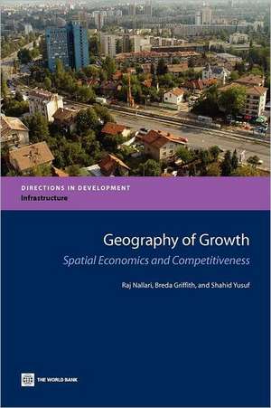 Geography of Growth: Spatial Economics and Competitiveness de Raj Nallari