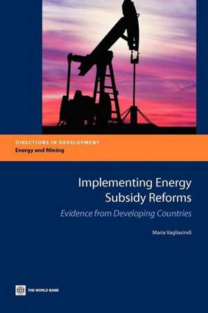 Implementing Energy Subsidy Reforms: Evidence from Developing Countries de Maria Vagliasindi