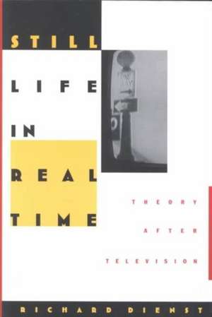 Still Life in Real Time – Theory After Television de Richard Dienst