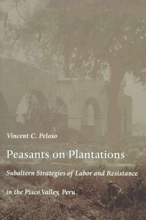 Peasants on Plantations – Subaltern Strategies of Labor and Resistance in the Pisco Valley, Peru de Vincent Peloso