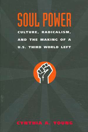 Soul Power – Culture, Radicalism, and the Making of a U.S. Third World Left de Cynthia A. Young