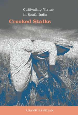 Crooked Stalks – Cultivating Virtue in South India de Anand Pandian