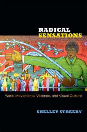 Radical Sensations – World Movements, Violence, and Visual Culture de Shelley Streeby