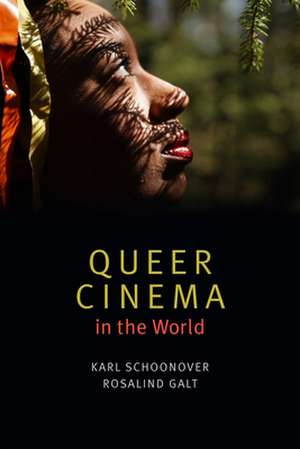 Queer Cinema in the World de Karl Schoonover