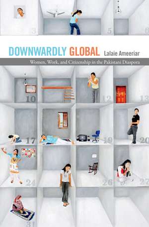 Downwardly Global – Women, Work, and Citizenship in the Pakistani Diaspora de Lalaie Ameeriar