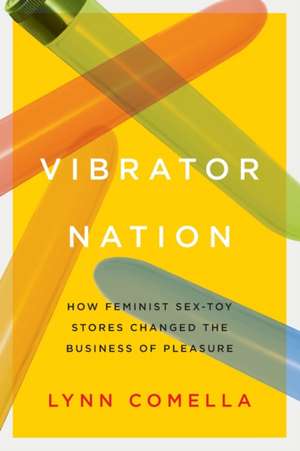 Vibrator Nation – How Feminist Sex–Toy Stores Changed the Business of Pleasure de Lynn Comella