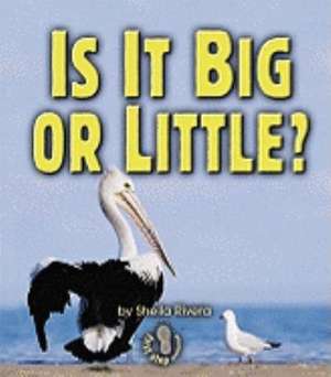 Is It Big or Little? de Sheila Rivera