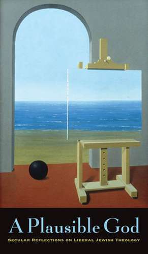 A Plausible God de Mitchell Silver