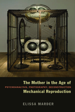 The Mother in the Age of Mechanical Reproduction – Psychoanalysis, Photography, Deconstruction de Elissa Marder