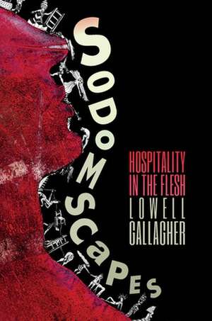 Sodomscapes – Hospitality in the Flesh de Lowell Gallagher