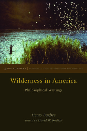 Wilderness in America – Philosophical Writings de Henry Bugbee