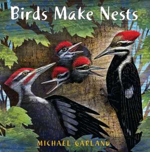 Birds Make Nests de Michael Garland