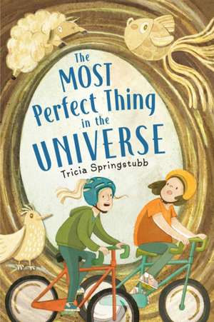 The Most Perfect Thing in the Universe de Tricia Springstubb