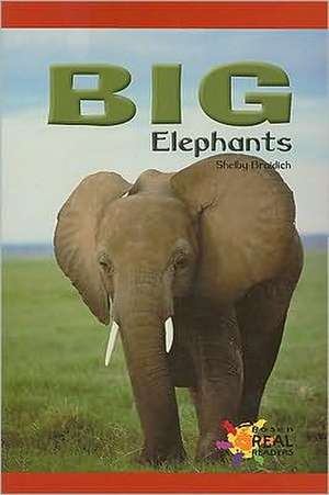 Braidich, S: Big Elephants