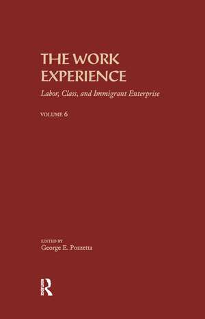 The Work Experience: Labor, Class & Immigrant Enterprise de George E. Pozzetta