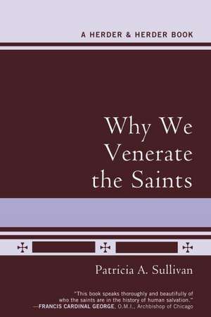 Why We Venerate the Saints de Patricia A. Sullivan