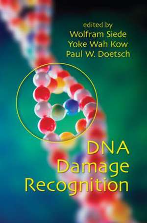 DNA Damage Recognition de Wolfram Siede