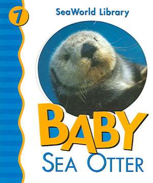 Baby Sea Otter de Patricia A. Pingry