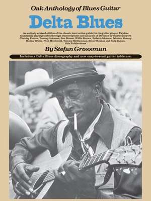 Delta Blues de Stefan Grossman