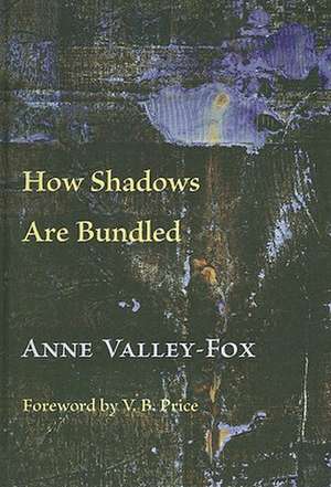 How Shadows Are Bundled de Anne Valley-Fox