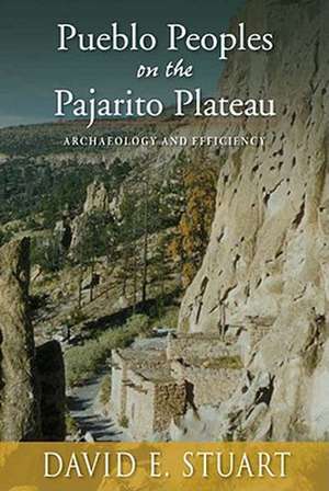 Pueblo Peoples on the Pajarito Plateau: Archaeology and Efficiency de David E. Stuart