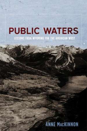 Public Waters de Anne MacKinnon