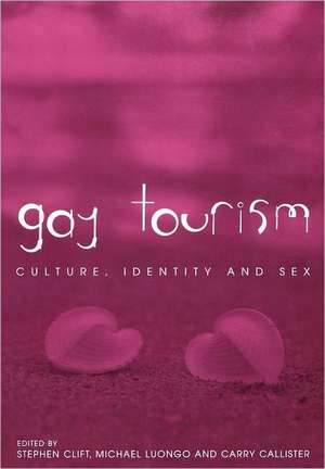 Gay Tourism de Stephen Clift