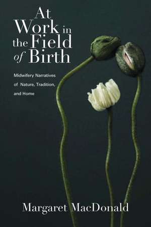 At Work in the Field of Birth: Midwifery Narratives of Nature, Tradition, and Home de Margaret E. MacDonald