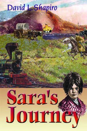 Sara's Journey de David L. Shapiro