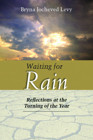 Waiting for Rain: Reflections at the Turning of the Year de Bryna Jocheved Levy