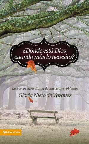 ¿Dónde está Dios cuando más lo necesito?: La perspectiva divina de nuestros problemas de Gloria Nieto de Vázquez