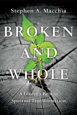 Broken and Whole de Stephen A. Macchia