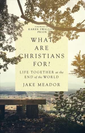 What Are Christians For? – Life Together at the End of the World de Jake Meador